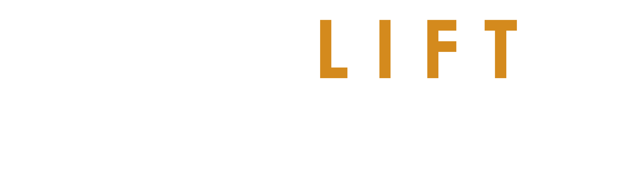 SMS LIFT Logo white